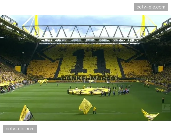 欧足联推站席新规，多特蒙德南看台面临整改压力